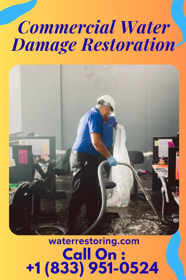 Commercial Water Damage Restoration in Taopi, MN